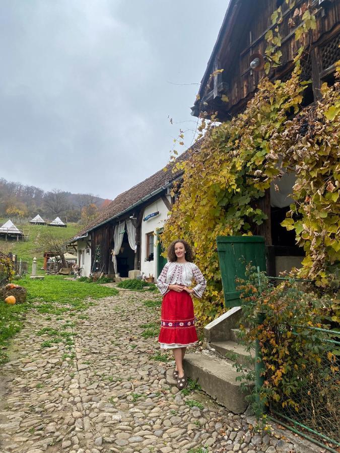 Saschiz 130/Lodging And Glamping Екстер'єр фото