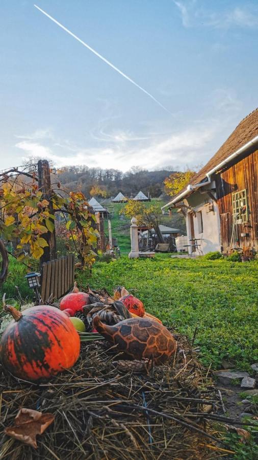 Saschiz 130/Lodging And Glamping Екстер'єр фото