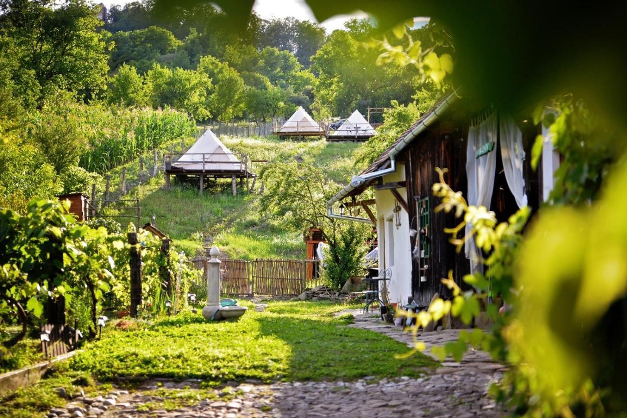 Saschiz 130/Lodging And Glamping Екстер'єр фото